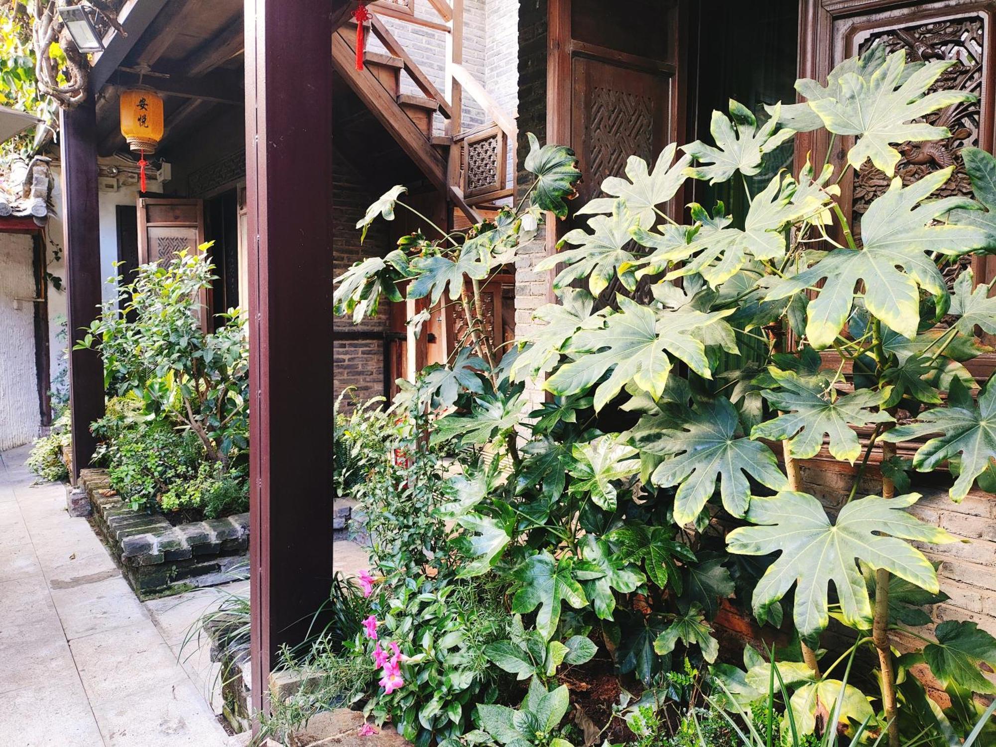 Big Tree Guesthouse - Naxi Old Style 리장 외부 사진