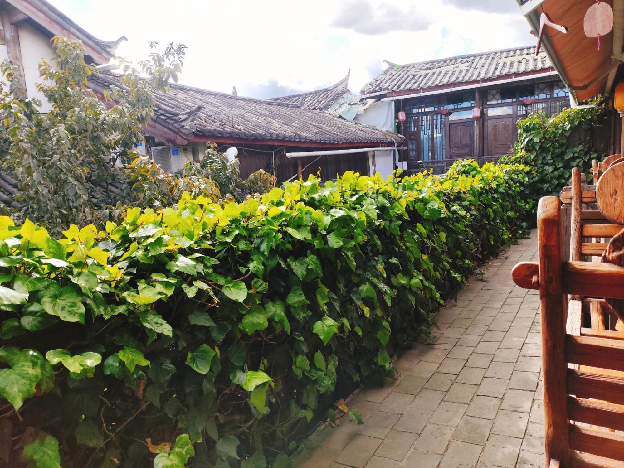 Big Tree Guesthouse - Naxi Old Style 리장 외부 사진